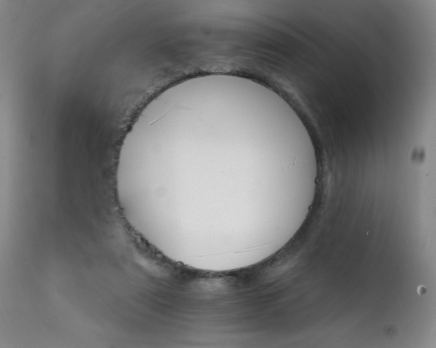X0000111930307200907271320