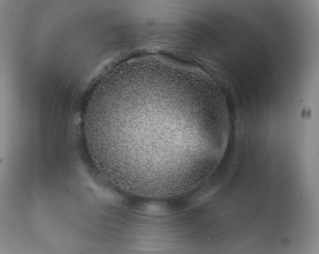 X0000111930308200907271320
