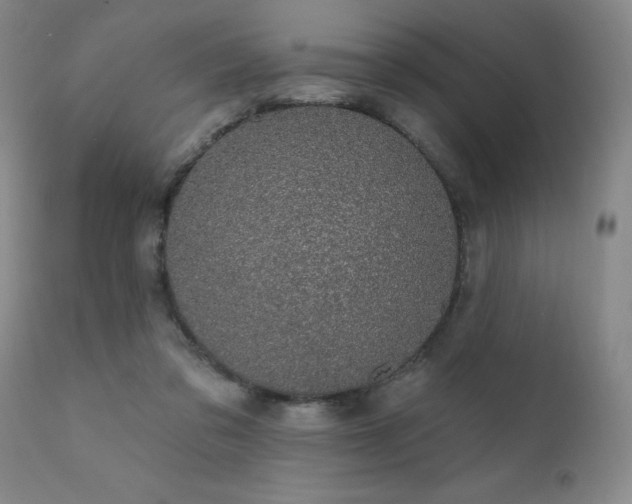 X0000111930309200907271320