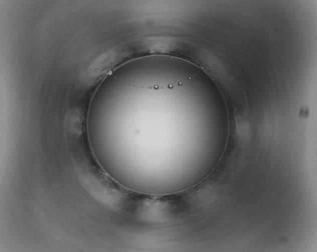 X0000111930311200907271320
