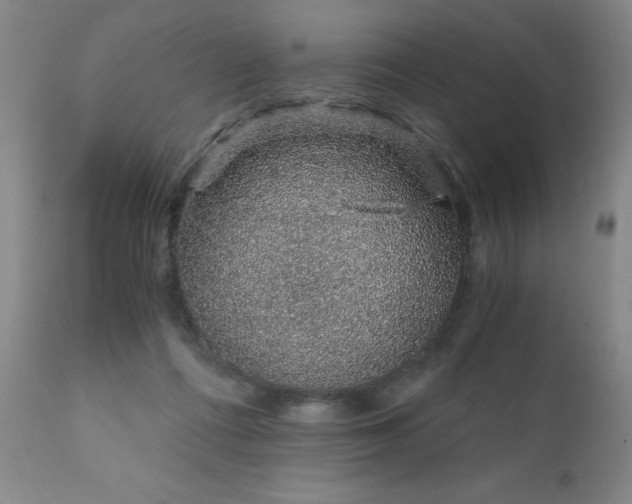 X0000111930312200907271320