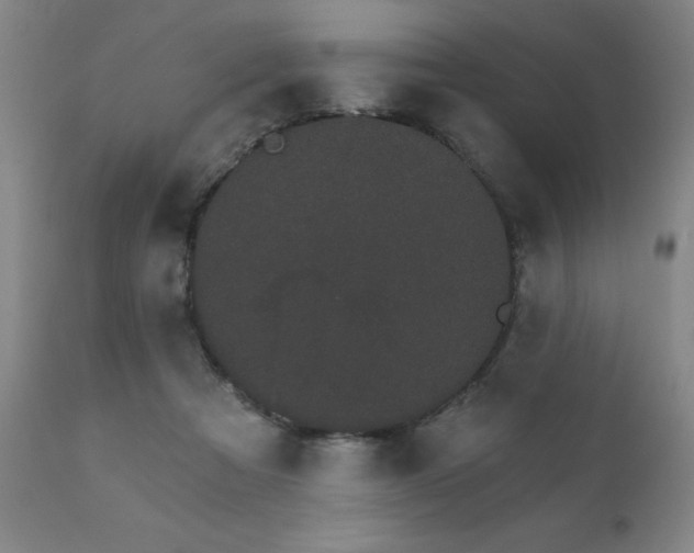 X0000111930313200907271320