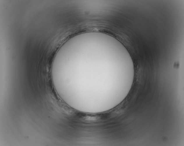 X0000111930314200907271320