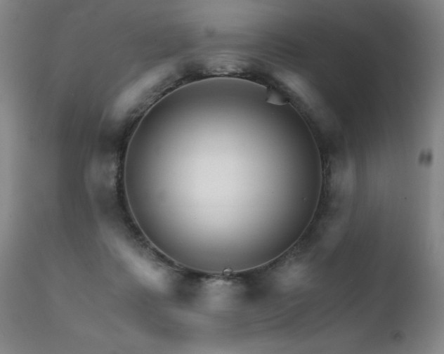 X0000111930315200907271320