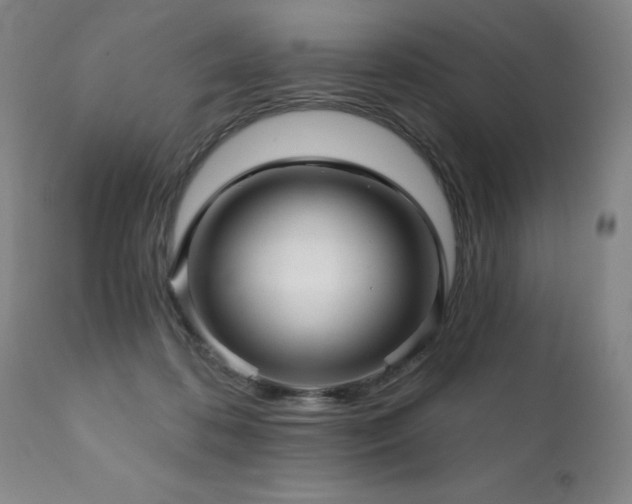 X0000111930316200907271320