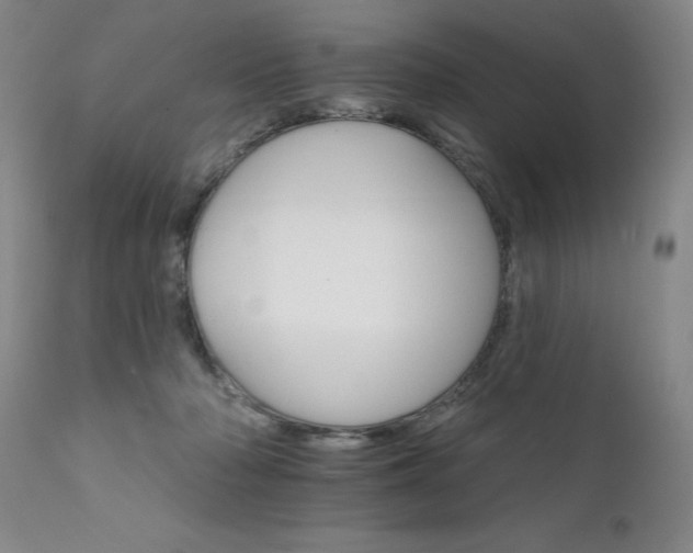 X0000111930318200907271320