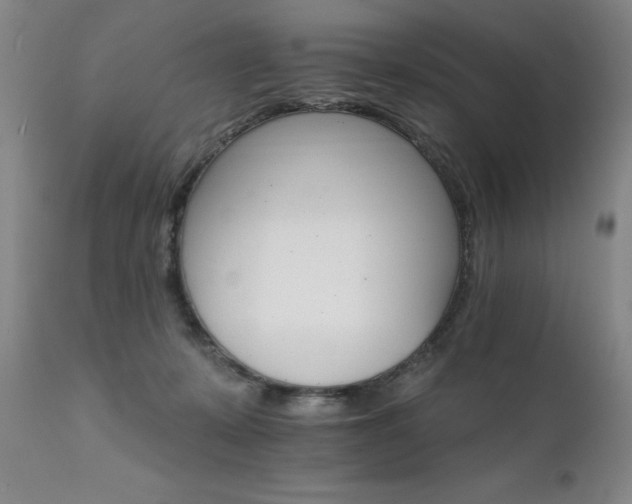 X0000111930319200907271320