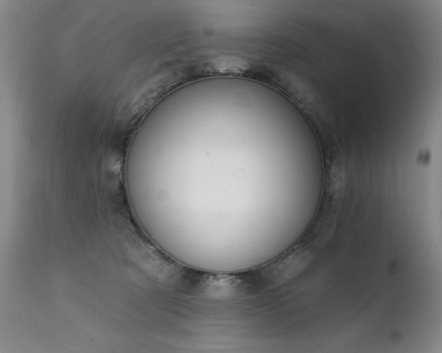 X0000111930321200907271320