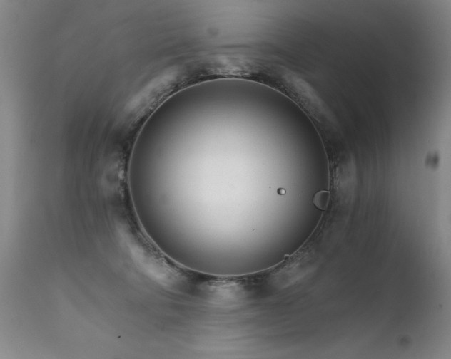 X0000111930322200907271320