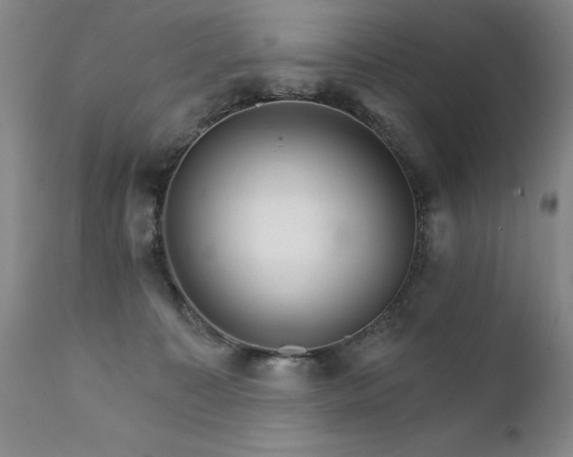 X0000111930323200907271319