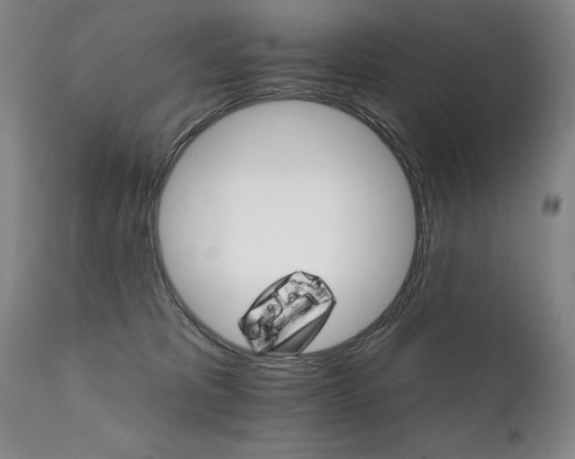 X0000111930325200907271319