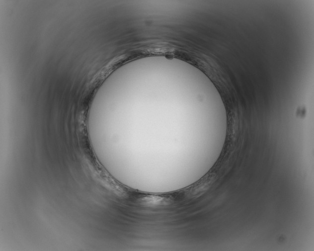 X0000111930326200907271319