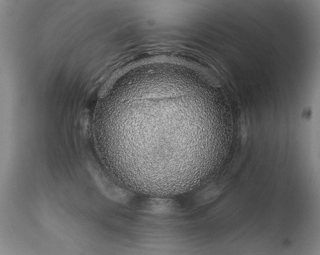 X0000111930328200907271319