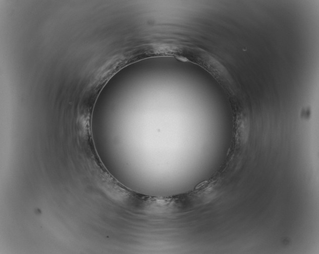 X0000111930329200907271319