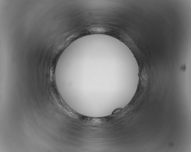 X0000111930330200907271319