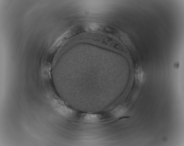 X0000111930332200907271319