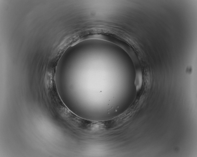 X0000111930333200907271319