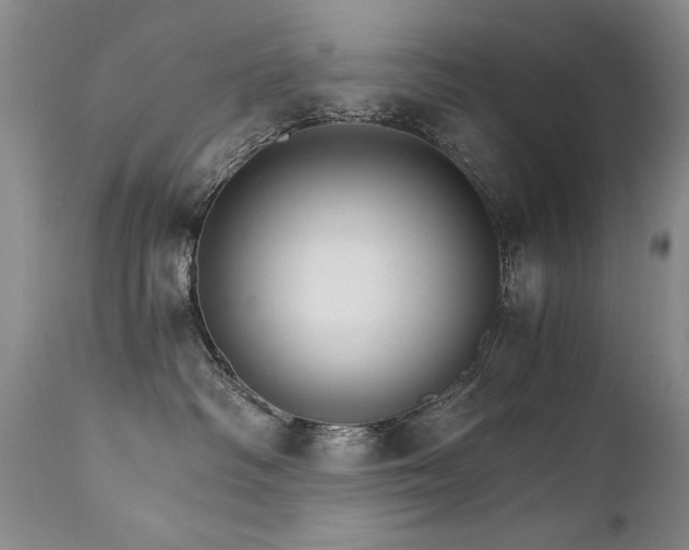 X0000111930334200907271319