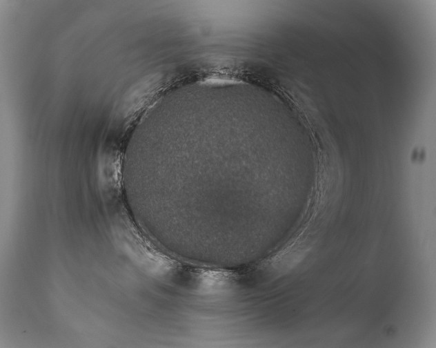 X0000111930336200907271319