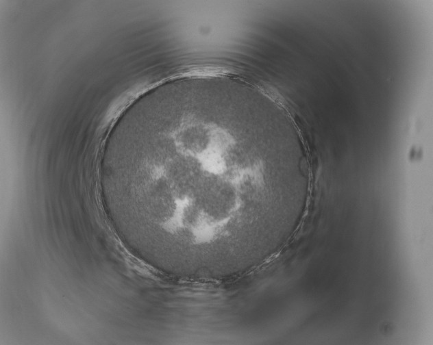 X0000111930337200907271318