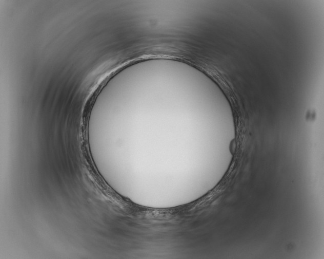 X0000111930338200907271318