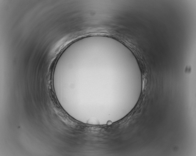 X0000111930339200907271319