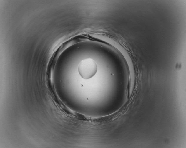 X0000111930340200907271319