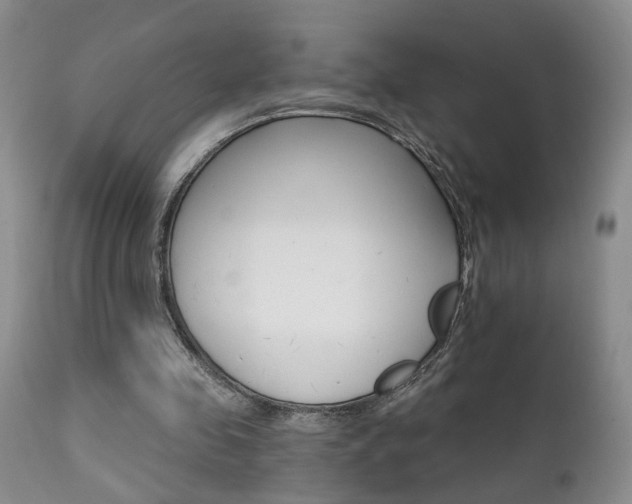 X0000111930341200907271319