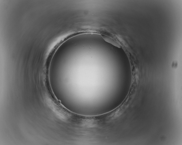 X0000111930342200907271319