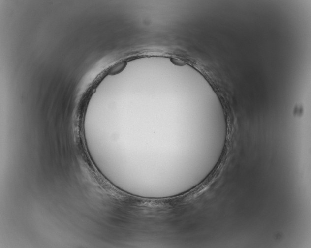 X0000111930343200907271319