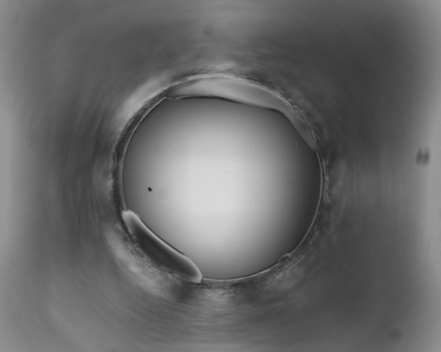 X0000111930344200907271319