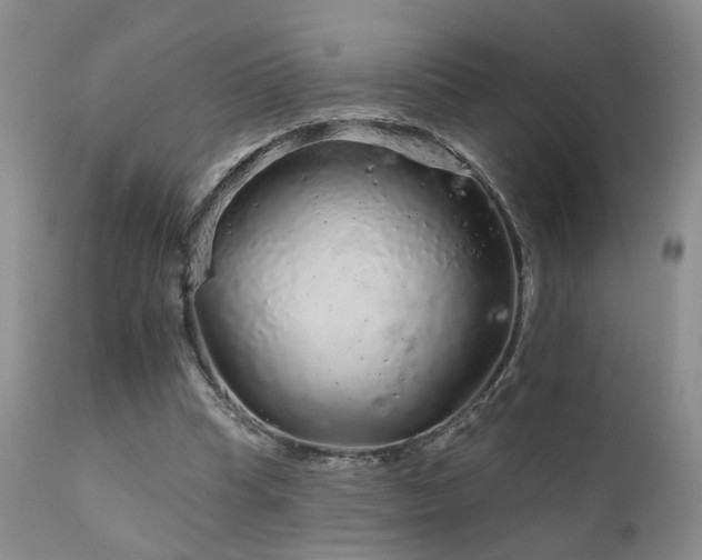 X0000111930345200907271319