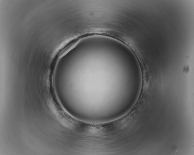 X0000111930346200907271319