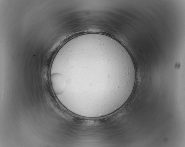 X0000111930347200907271319