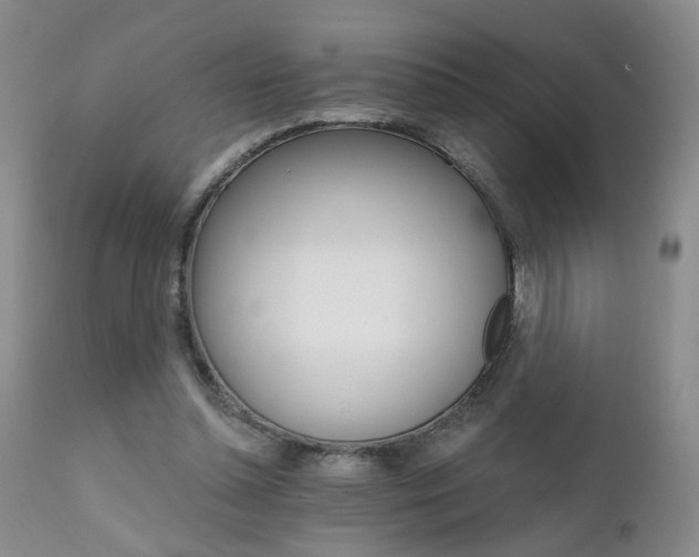 X0000111930348200907271319