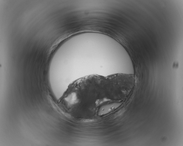 X0000111930349200907271319