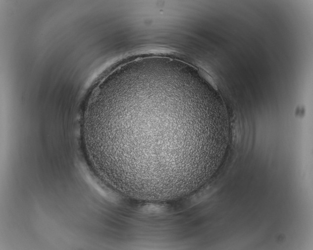 X0000111930350200907271319