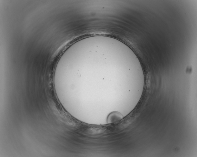 X0000111930351200907271319
