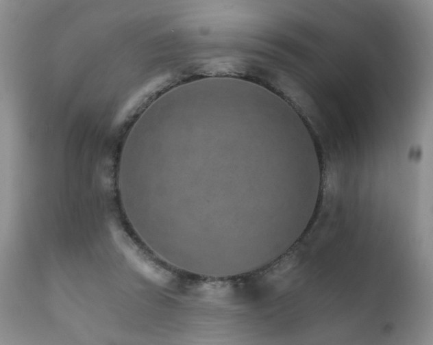 X0000111930353200907271319