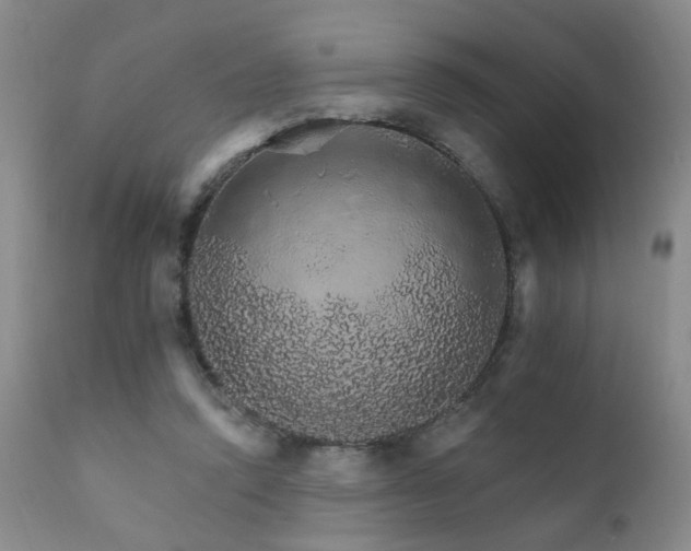X0000111930354200907271319