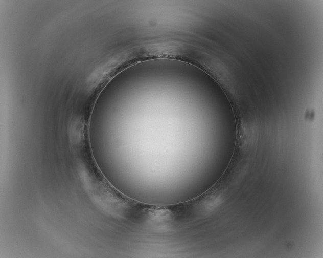X0000111930355200907271319