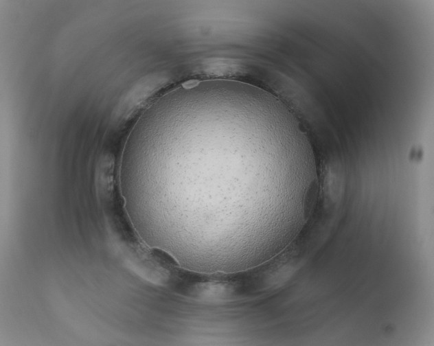 X0000111930356200907271319