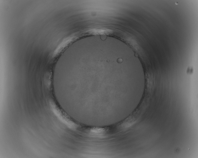 X0000111930357200907271319