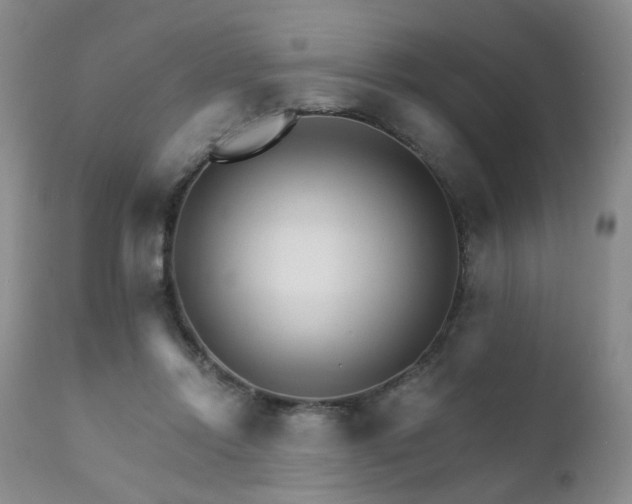 X0000111930358200907271319