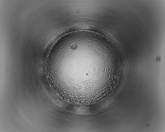 X0000111930359200907271319