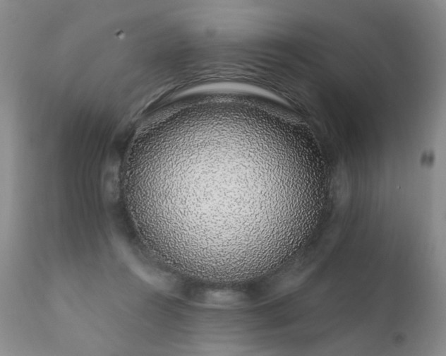 X0000111930360200907271319