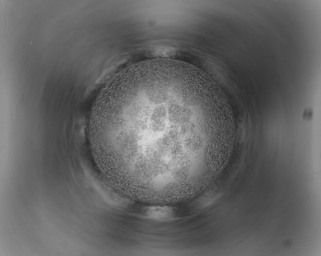 X0000111930363200907271319