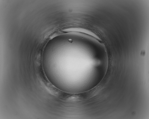 X0000111930364200907271319