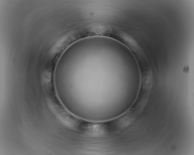 X0000111930365200907271319