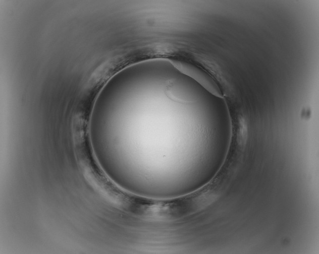 X0000111930366200907271319